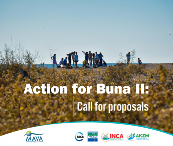 Action for Buna, phase II: Call for proposals 